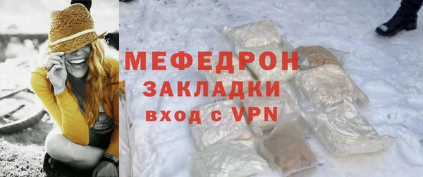 индика Богданович