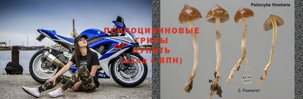 тгк Богородицк