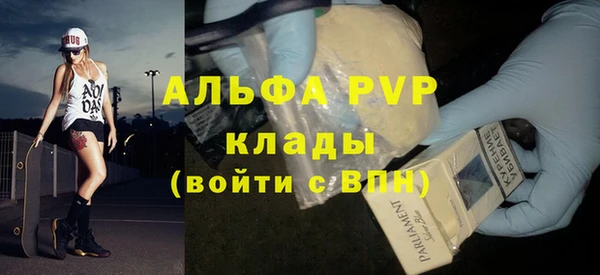 крисы Бородино