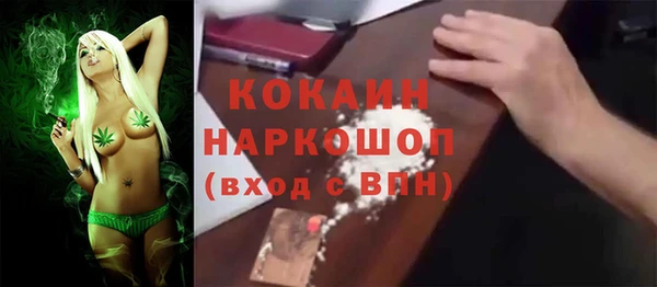 индика Богданович