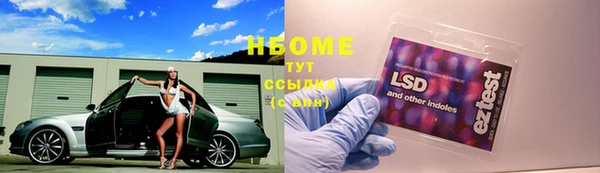 тгк Богородицк