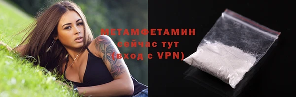 индика Богданович
