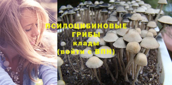 сатива Сатка