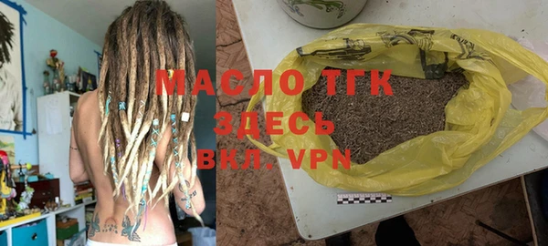 крисы Бородино