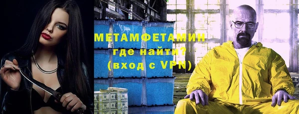 индика Богданович