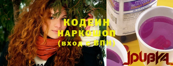 тгк Богородицк