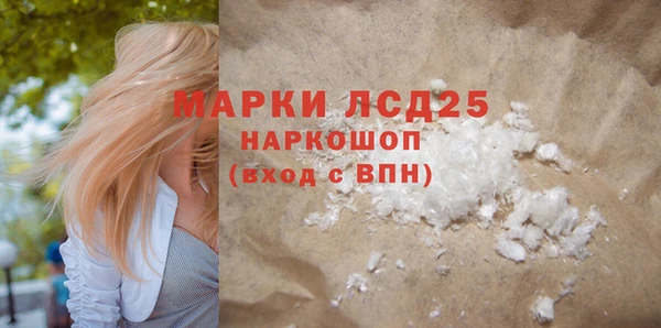 крисы Бородино