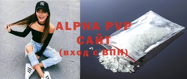 крисы Бородино