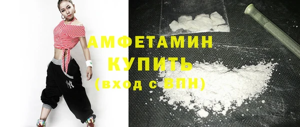 индика Богданович