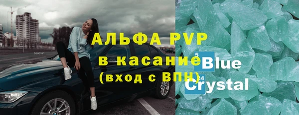 индика Богданович