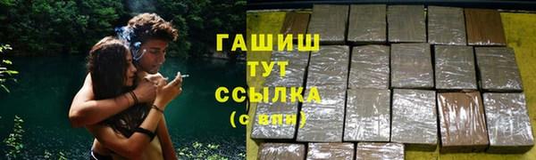 индика Богданович