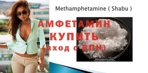 индика Богданович